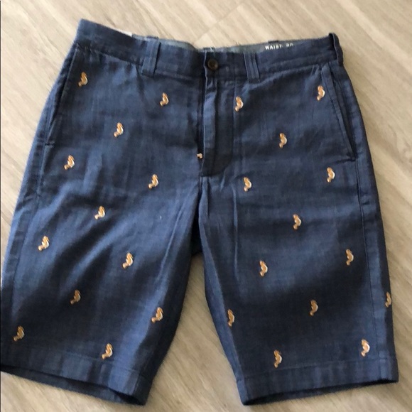 JCrew Other - J. Crew Men’s Seahorse Shorts Size 29